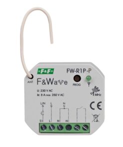 FW-R1P-P